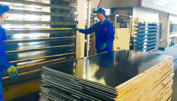  木业有限公司建筑模板